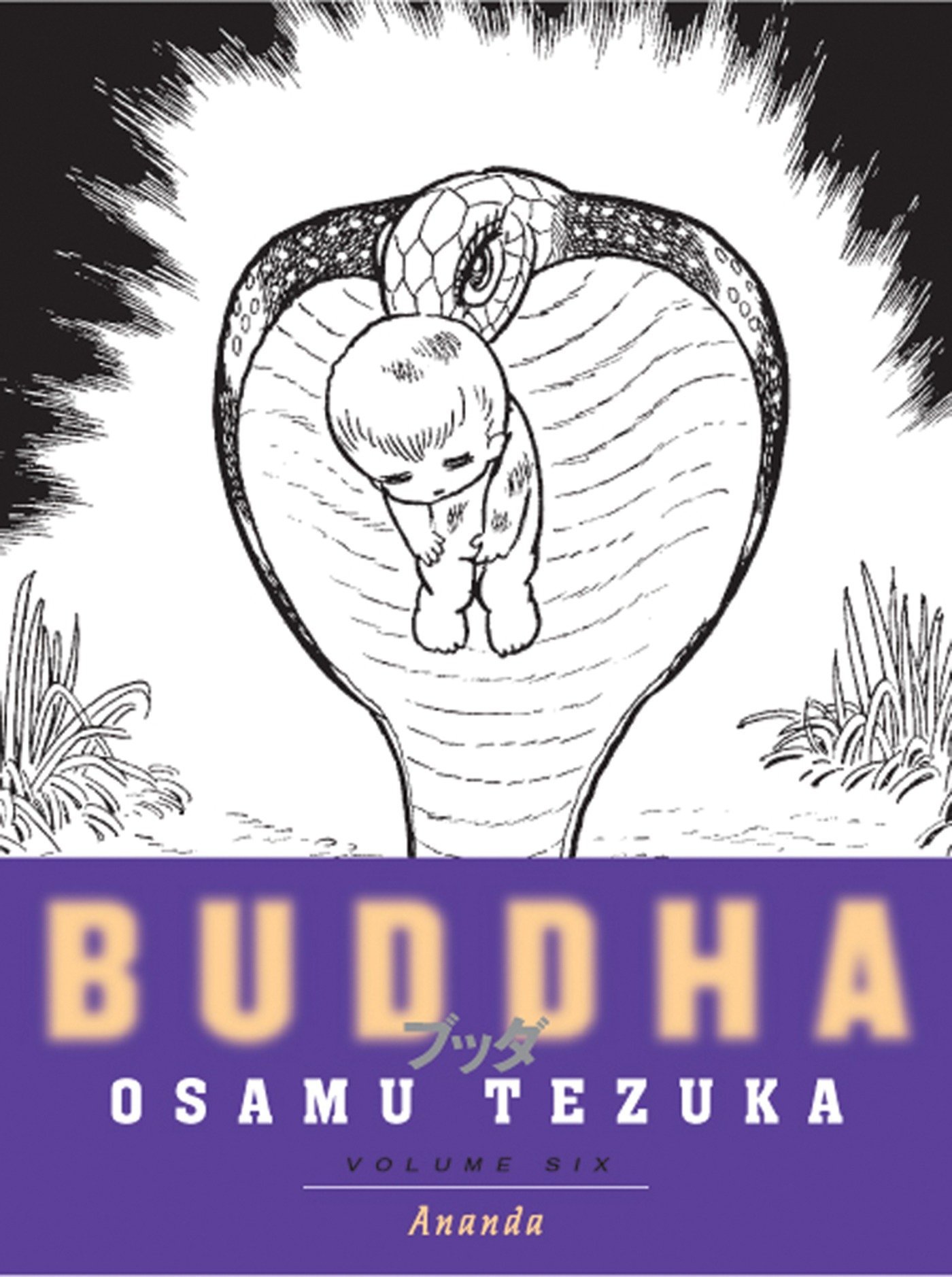 Buddha Vol. 6 - Ananda