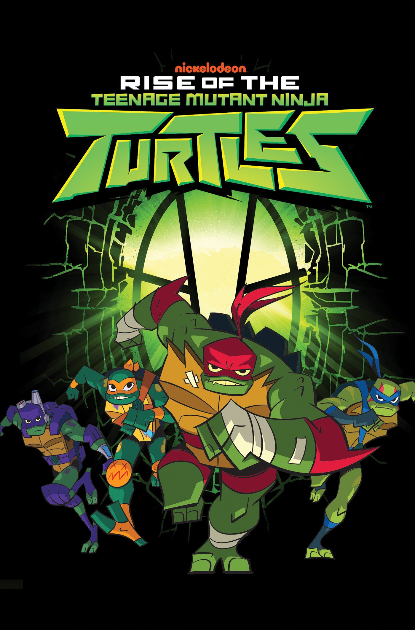 Rise of the Teenage Mutant Ninja Turtles (Rise of TMNT)