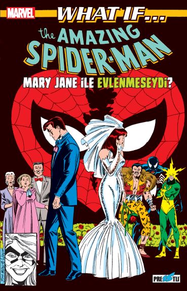 What If Spider-Man Mary Jane İle Evlenmeseydi?