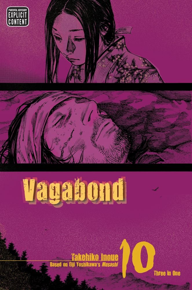 Vagabond Vizbig Edition Volume 10